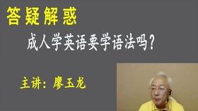 成人学英文上课视频教学,成人英语学习攻略